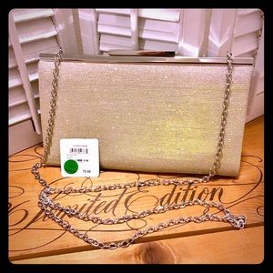 Nordstrom Shimmer Clutch